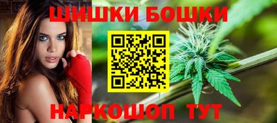 гидропоника Краснознаменск