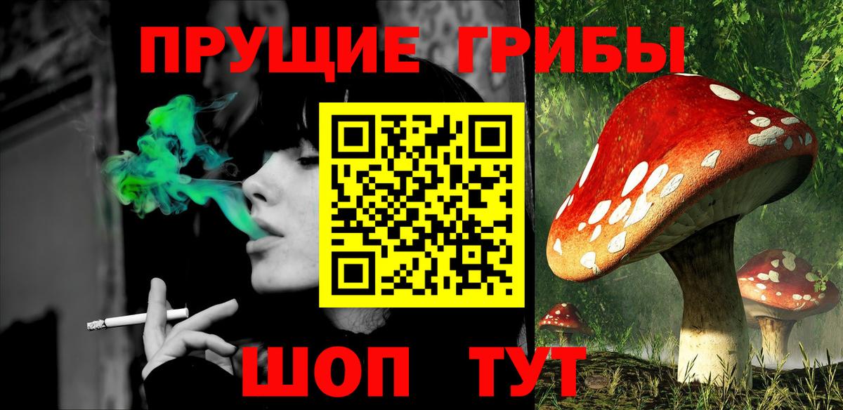 Галлюциногенные грибы MAGIC MUSHROOMS  Вход с VPN  Псилоцибиновые грибы GOLDEN TEACHER  Чапаевск 